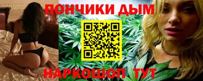 гашик Бийск