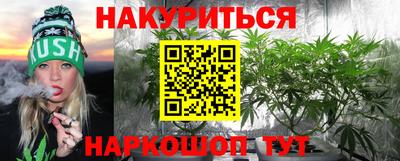 гашик Бийск