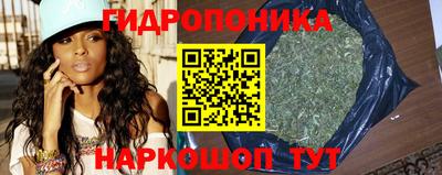 прущие грибы Берёзовский