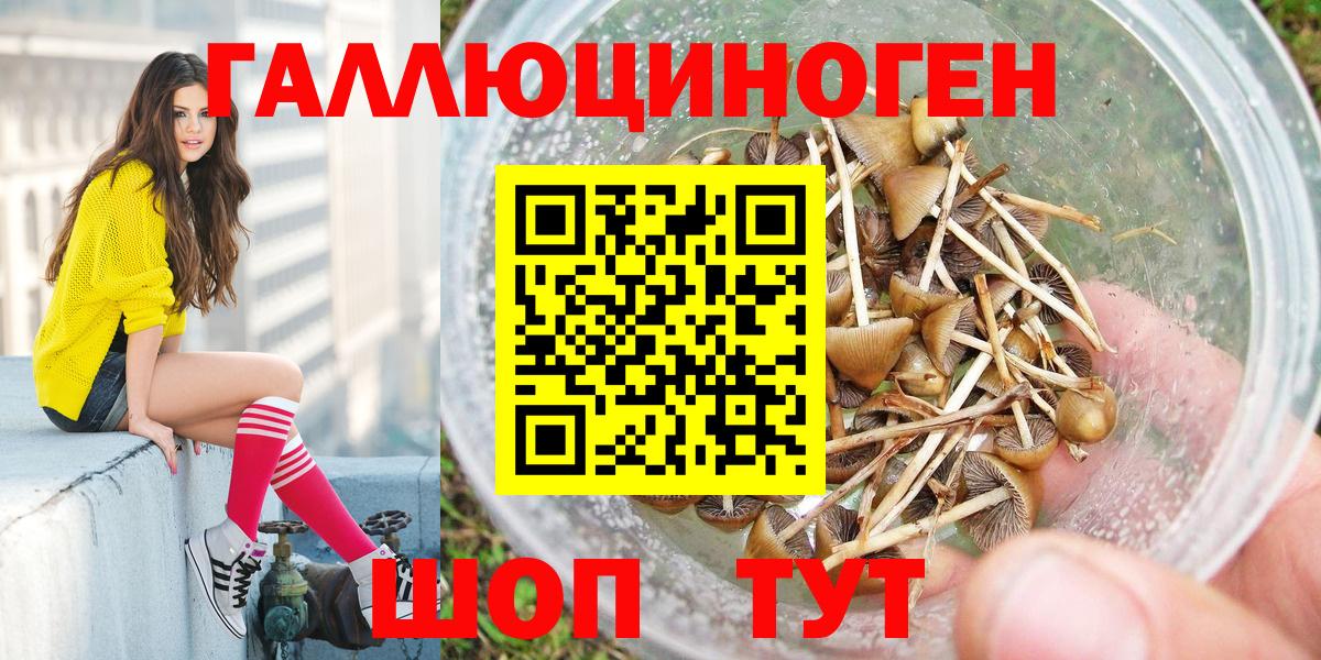 Псилоцибиновые грибы Psilocybe  Вход с VPN  Псилоцибиновые грибы ЛСД  Изобильный 